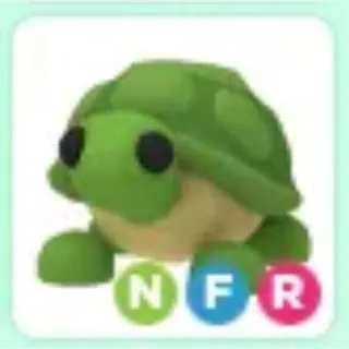NFR Turtle - ADM