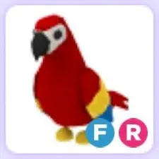 FR Parrot - Adopt me