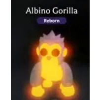 neon albino gorilla