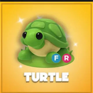FR TURTLE