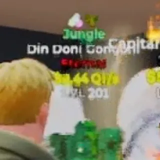 JUNGLE DIN DONI GONGONI