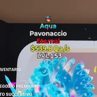 AQUA PAVONACCIO