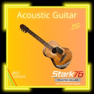 Acoustic Guitar 🎸
