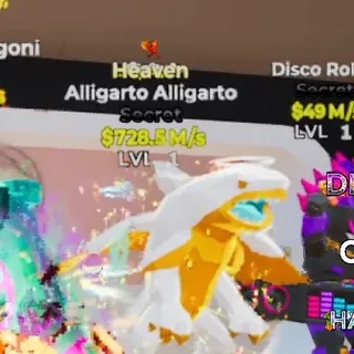 HEAVEN ALLIGARTO ALLIGARTO