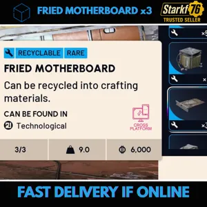 FRIED MOTHERBOARD