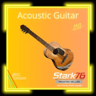 Acoustic Guitar