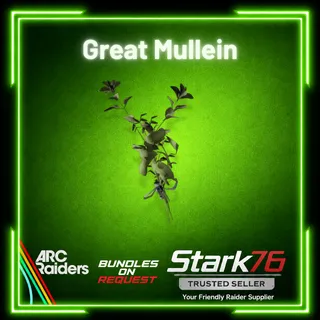 Great Mullein x45