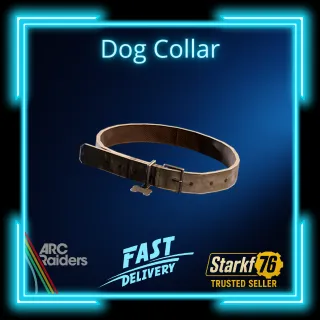 Dog Collar