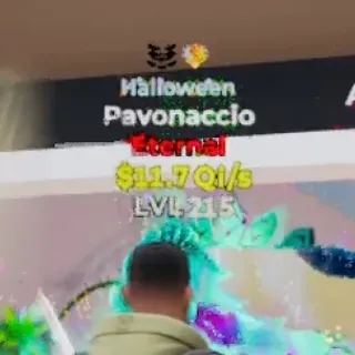 HALLOWEEN PAVONACCIO