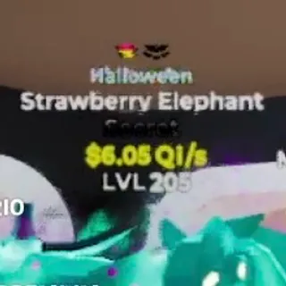 HALLOWEEN STRAWBERRY ELEPHANT