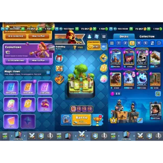 Clash Royale: 7703 Trophies | KT 13 Lvl | Lvl 41 | Arena 20 | 118 Cards | 35 Emotes ✅ Auto Delivery ✉️ Full Access