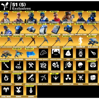 Fortnite: 17 SKINS Save The World Founder's Ultimate Edition 310 Max (P.L: 123) | Axehammer ✉️ Full Access (Mail Changeable)