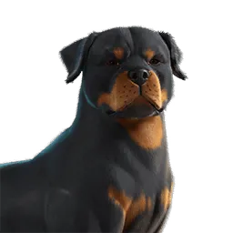 Fortnite EsDeeKid's Cerberus Sidekick 🌶️ All Platforms 📑 Details in the description