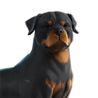 Fortnite EsDeeKid's Canine Sidekick 🌶️ All Platforms 📑 Details in the description