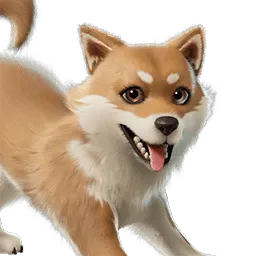 Fortnite Miso Sidekick 🌶️ All Platforms 📑 Details in the description