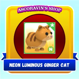 N Ginger Cat