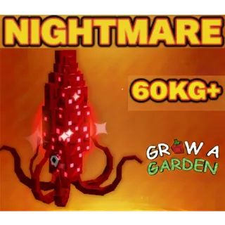 7x Nightmare Ruby Squid Age 100 60+kg max