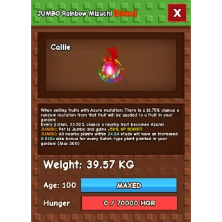 Huge Rainbow Hatch Mizuchi MAX AGE 100