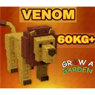 Huge Venom Lion Age 100 60+kg max