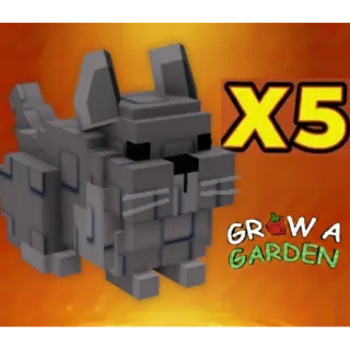 Chinchilla x5 > Grow a Garden