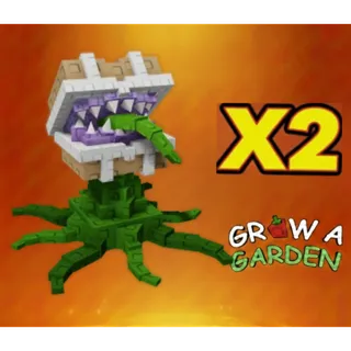 Chest mimic x2 > Grow a Garden