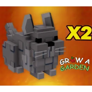 Chinchilla x2 > Grow a Garden