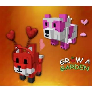 Pink Panda | Red Rose Fox