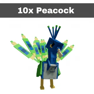 Peacock 10x