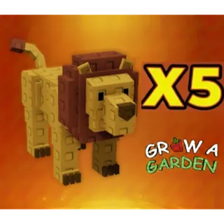 Lion x5 > Grow a Garden