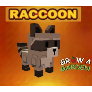Raccoon > Grow a Garden