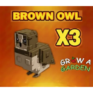 Brown Owl x3 > Grow a Garden