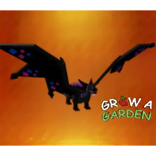 Black Spotty Dragon > Grow a Garden