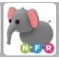 NFR ELEPHANT