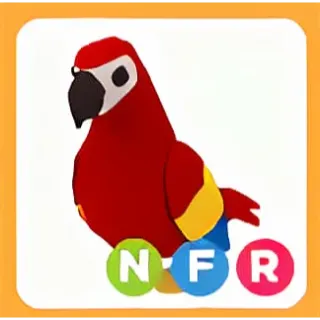 Limited | NFR PARROT