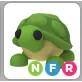 Limited | NFR TURTLE