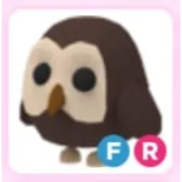 FR OWL