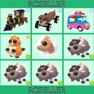 Pet Vehicle Bundle