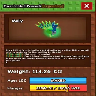 Colossal Peacock