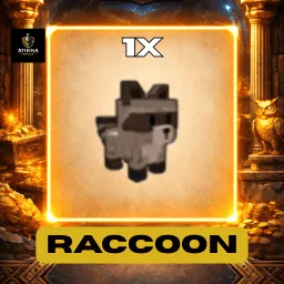 1 Raccoon