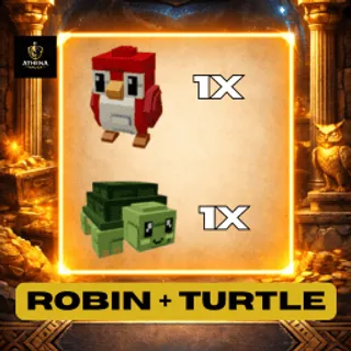  ROBIN + TURTLE