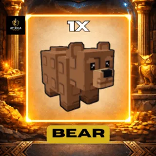  BEAR