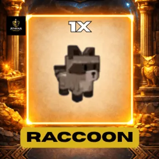 1 Raccoon