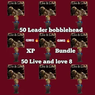 XP Bundle