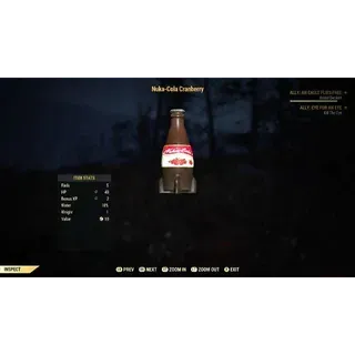 nuka cola cranberry