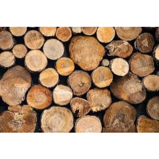 Junk | 10k Wood