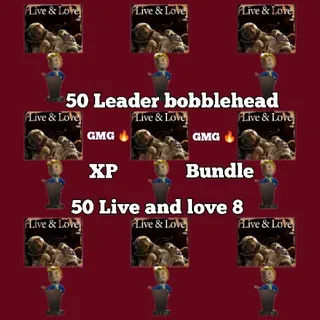 XP Bundle
