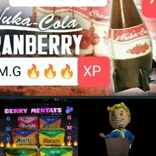 XP Bundle 