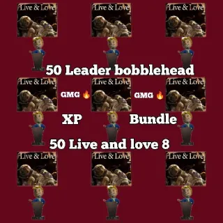 XP Bundle