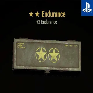 5x Endurance MOD