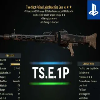 TSE1P Light Machine Gun